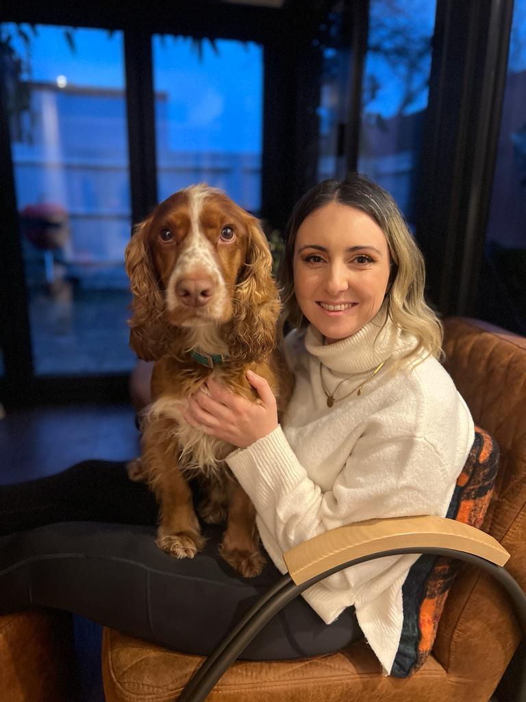 Cocker spaniel
